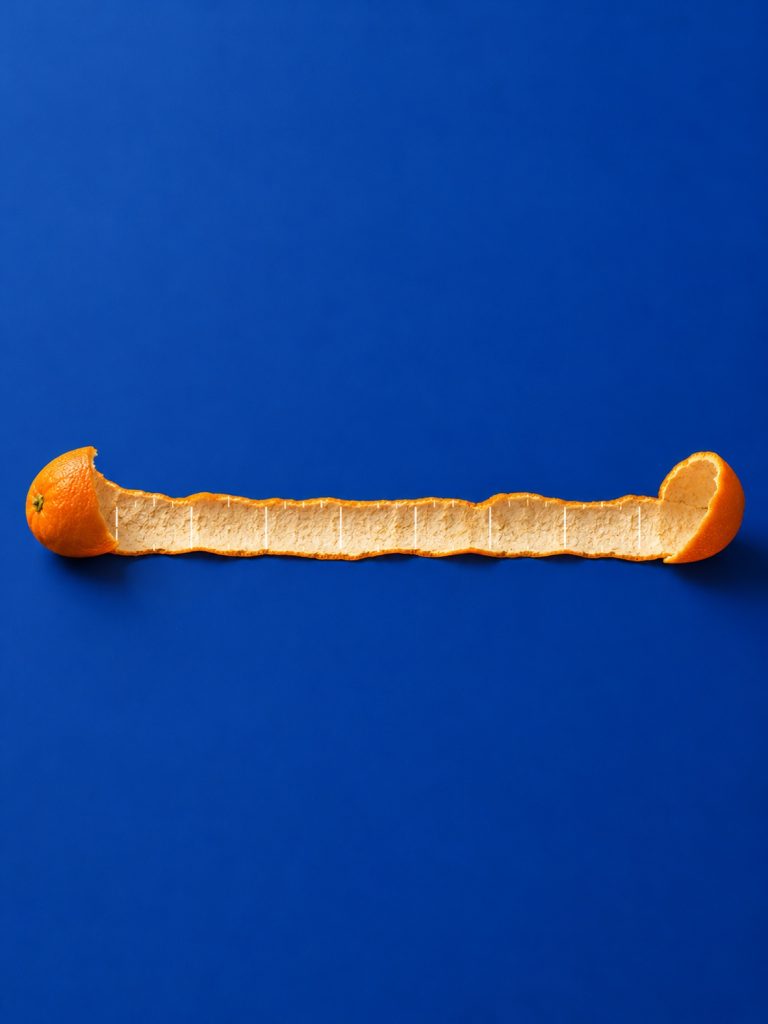 果皮量尺