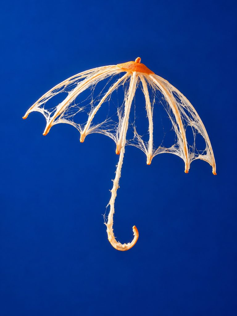 果皮雨伞骨