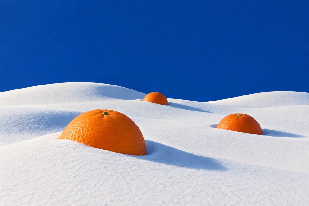橘子雪原